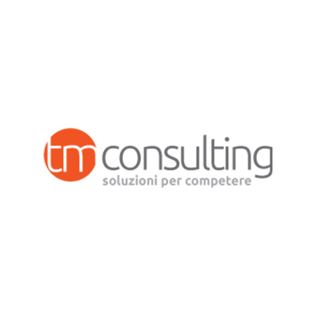 TeAM-partners-TM-consulting