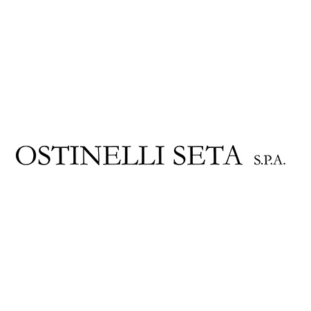 TeAM-partners-ostinelli